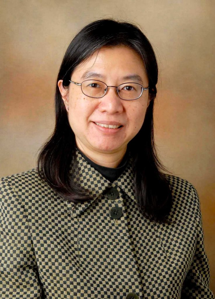 Professor ida a c mok pisa 2025 hong kong project